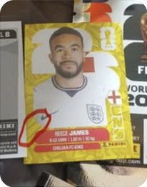 fake gold Reece James